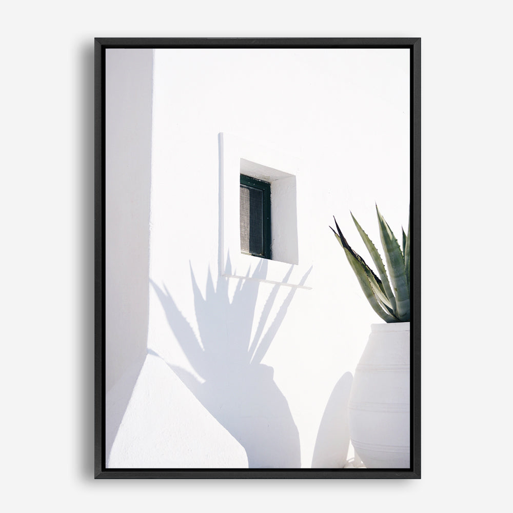 Shop Cactus Shadow Photo Canvas Print a coastal themed photography framed stretched canvas print from The Print Emporium wall artwork collection - Buy Australian made prints for the home and your interior decor space, TPE-1278-CA-35X46-NF