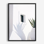 Shop Cactus Shadow Photo Canvas Print a coastal themed photography framed stretched canvas print from The Print Emporium wall artwork collection - Buy Australian made prints for the home and your interior decor space, TPE-1278-CA-35X46-NF