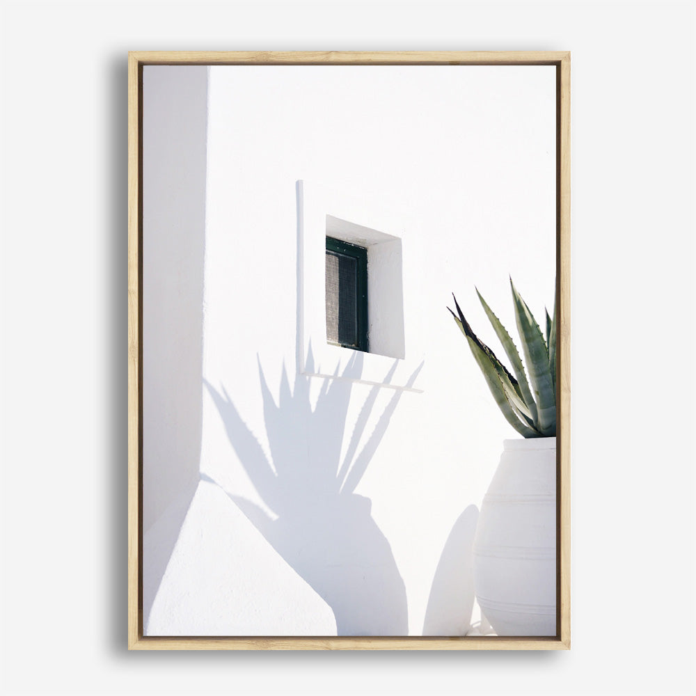 Shop Cactus Shadow Photo Canvas Print a coastal themed photography framed stretched canvas print from The Print Emporium wall artwork collection - Buy Australian made prints for the home and your interior decor space, TPE-1278-CA-35X46-NF