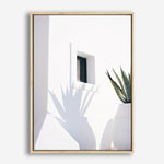 Shop Cactus Shadow Photo Canvas Print a coastal themed photography framed stretched canvas print from The Print Emporium wall artwork collection - Buy Australian made prints for the home and your interior decor space, TPE-1278-CA-35X46-NF