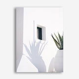 Shop Cactus Shadow Photo Canvas Print a coastal themed photography framed stretched canvas print from The Print Emporium wall artwork collection - Buy Australian made prints for the home and your interior decor space, TPE-1278-CA-35X46-NF