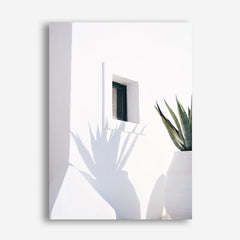 Shop Cactus Shadow Photo Canvas Print a coastal themed photography framed stretched canvas print from The Print Emporium wall artwork collection - Buy Australian made prints for the home and your interior decor space, TPE-1278-CA-35X46-NF