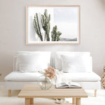 Shop Cactus Summer Photo Art Print a coastal themed photography wall art print from The Print Emporium wall artwork collection - Buy Australian made fine art poster and framed prints for the home and your interior decor, TPE-837-AP