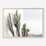 Shop Cactus Summer Photo Art Print a coastal themed photography wall art print from The Print Emporium wall artwork collection - Buy Australian made fine art poster and framed prints for the home and your interior decor, TPE-837-AP