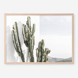 Shop Cactus Summer Photo Art Print a coastal themed photography wall art print from The Print Emporium wall artwork collection - Buy Australian made fine art poster and framed prints for the home and your interior decor, TPE-837-AP