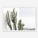 Shop Cactus Summer Photo Art Print a coastal themed photography wall art print from The Print Emporium wall artwork collection - Buy Australian made fine art poster and framed prints for the home and your interior decor, TPE-837-AP