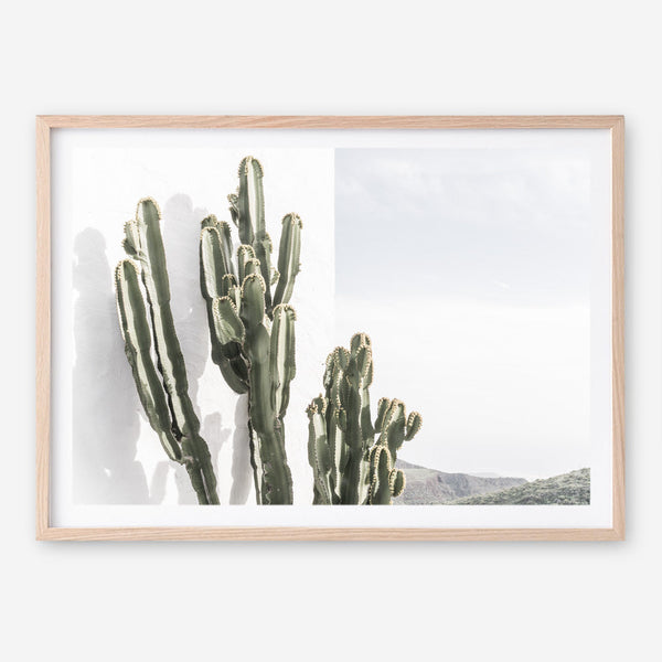 Shop Cactus Summer Photo Art Print a coastal themed photography wall art print from The Print Emporium wall artwork collection - Buy Australian made fine art poster and framed prints for the home and your interior decor, TPE-837-AP