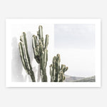 Shop Cactus Summer Photo Art Print a coastal themed photography wall art print from The Print Emporium wall artwork collection - Buy Australian made fine art poster and framed prints for the home and your interior decor, TPE-837-AP