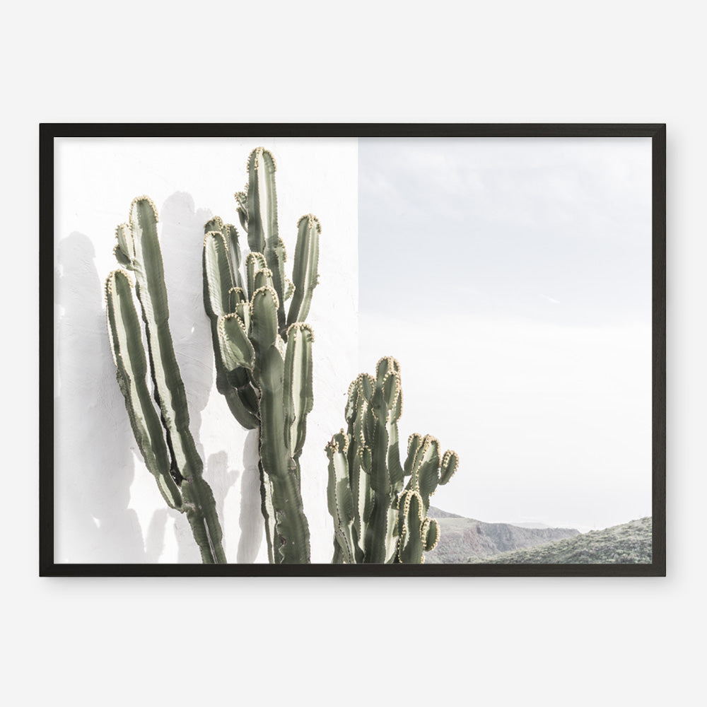 Shop Cactus Summer Photo Art Print a coastal themed photography wall art print from The Print Emporium wall artwork collection - Buy Australian made fine art poster and framed prints for the home and your interior decor, TPE-837-AP