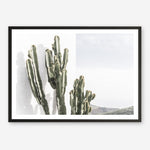 Shop Cactus Summer Photo Art Print a coastal themed photography wall art print from The Print Emporium wall artwork collection - Buy Australian made fine art poster and framed prints for the home and your interior decor, TPE-837-AP