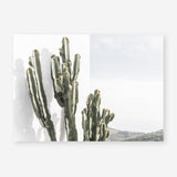 Shop Cactus Summer Photo Art Print a coastal themed photography wall art print from The Print Emporium wall artwork collection - Buy Australian made fine art poster and framed prints for the home and your interior decor, TPE-837-AP