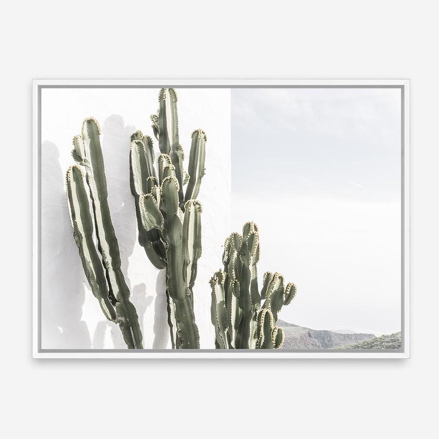 Shop Cactus Summer Photo Canvas Print a coastal themed photography framed stretched canvas print from The Print Emporium wall artwork collection - Buy Australian made prints for the home and your interior decor space, TPE-837-CA-35X46-NF