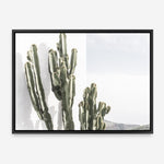 Shop Cactus Summer Photo Canvas Print a coastal themed photography framed stretched canvas print from The Print Emporium wall artwork collection - Buy Australian made prints for the home and your interior decor space, TPE-837-CA-35X46-NF