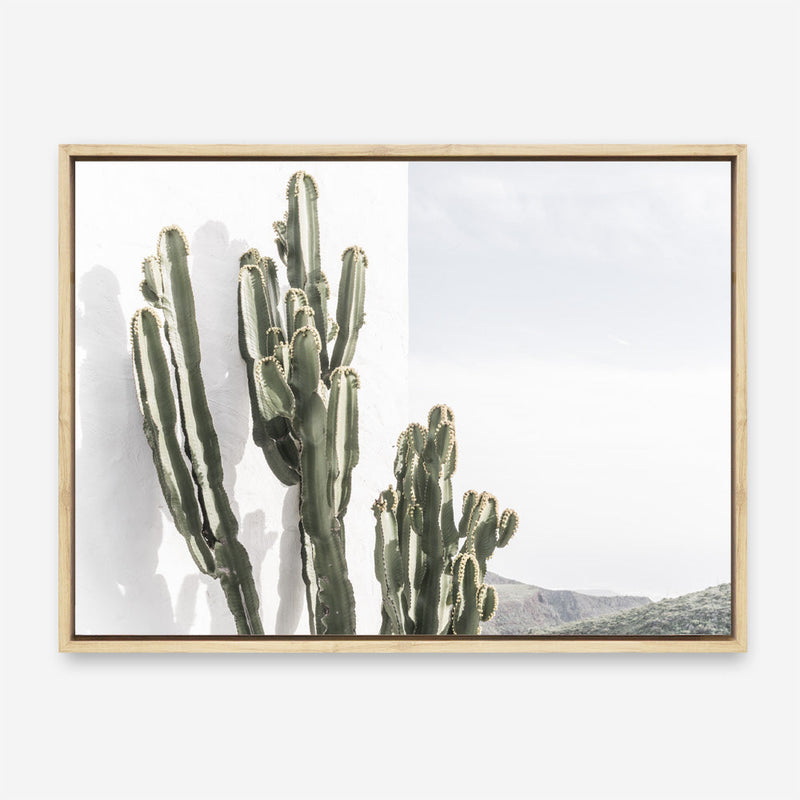 Shop Cactus Summer Photo Canvas Print a coastal themed photography framed stretched canvas print from The Print Emporium wall artwork collection - Buy Australian made prints for the home and your interior decor space, TPE-837-CA-35X46-NF