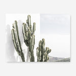 Shop Cactus Summer Photo Canvas Print a coastal themed photography framed stretched canvas print from The Print Emporium wall artwork collection - Buy Australian made prints for the home and your interior decor space, TPE-837-CA-35X46-NF