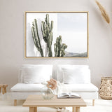 Shop Cactus Summer Photo Canvas Print a coastal themed photography framed stretched canvas print from The Print Emporium wall artwork collection - Buy Australian made prints for the home and your interior decor space, TPE-837-CA-35X46-NF