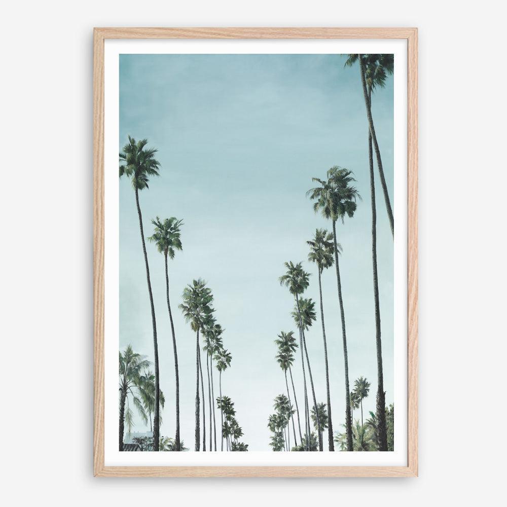 Shop California Palms Art Print a coastal themed painted wall art print from The Print Emporium wall artwork collection - Buy Australian made fine art painting style poster and framed prints for the home and your interior decor room, TPE-044-AP