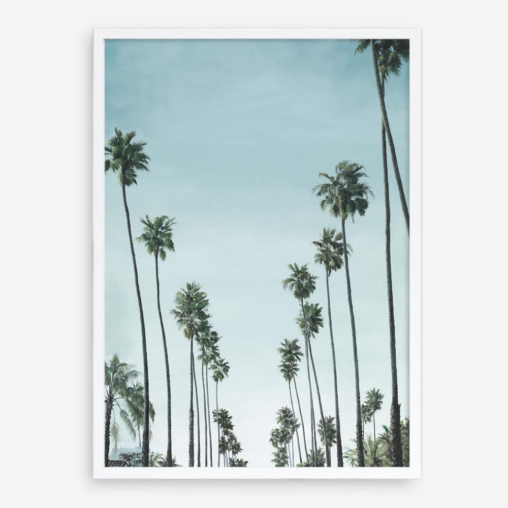 Shop California Palms Art Print a coastal themed painted wall art print from The Print Emporium wall artwork collection - Buy Australian made fine art painting style poster and framed prints for the home and your interior decor room, TPE-044-AP
