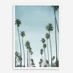 Shop California Palms Art Print a coastal themed painted wall art print from The Print Emporium wall artwork collection - Buy Australian made fine art painting style poster and framed prints for the home and your interior decor room, TPE-044-AP