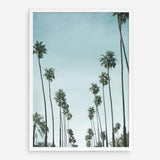 Shop California Palms Art Print a coastal themed painted wall art print from The Print Emporium wall artwork collection - Buy Australian made fine art painting style poster and framed prints for the home and your interior decor room, TPE-044-AP