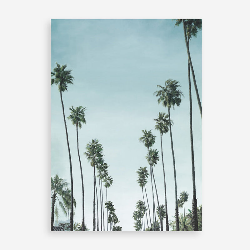 Shop California Palms Art Print a coastal themed painted wall art print from The Print Emporium wall artwork collection - Buy Australian made fine art painting style poster and framed prints for the home and your interior decor room, TPE-044-AP