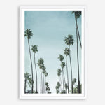 Shop California Palms Art Print a coastal themed painted wall art print from The Print Emporium wall artwork collection - Buy Australian made fine art painting style poster and framed prints for the home and your interior decor room, TPE-044-AP