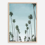 Shop California Palms Art Print a coastal themed painted wall art print from The Print Emporium wall artwork collection - Buy Australian made fine art painting style poster and framed prints for the home and your interior decor room, TPE-044-AP