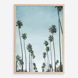 Shop California Palms Art Print a coastal themed painted wall art print from The Print Emporium wall artwork collection - Buy Australian made fine art painting style poster and framed prints for the home and your interior decor room, TPE-044-AP