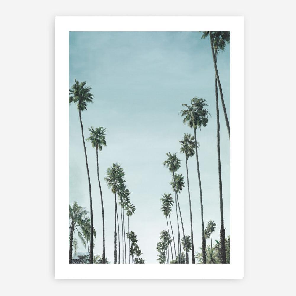 Shop California Palms Art Print a coastal themed painted wall art print from The Print Emporium wall artwork collection - Buy Australian made fine art painting style poster and framed prints for the home and your interior decor room, TPE-044-AP