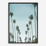 Shop California Palms Art Print a coastal themed painted wall art print from The Print Emporium wall artwork collection - Buy Australian made fine art painting style poster and framed prints for the home and your interior decor room, TPE-044-AP