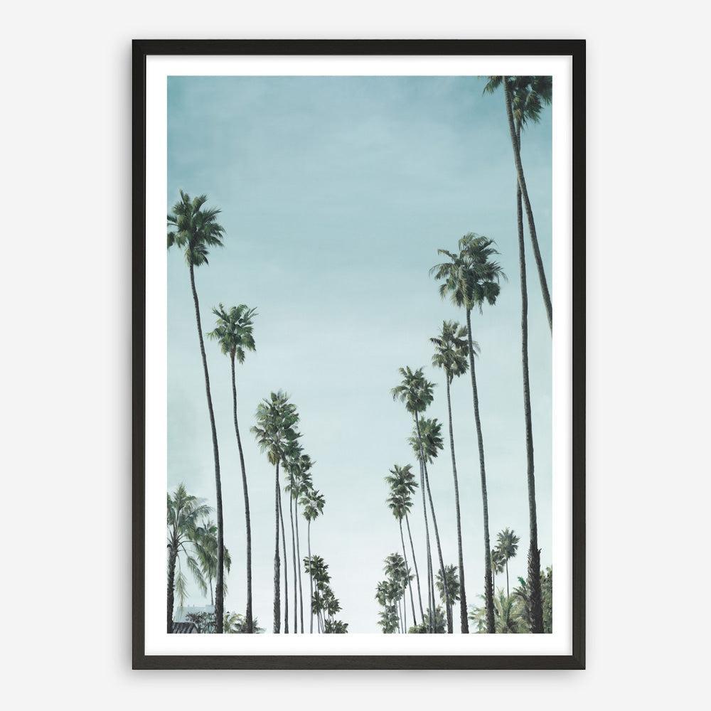 Shop California Palms Art Print a coastal themed painted wall art print from The Print Emporium wall artwork collection - Buy Australian made fine art painting style poster and framed prints for the home and your interior decor room, TPE-044-AP