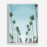 Shop California Palms Canvas Print a coastal themed painted framed canvas wall art print from The Print Emporium artwork collection - Buy Australian made fine art painting style stretched canvas prints for the home and your interior decor space, TPE-044-CA-35X46-NF