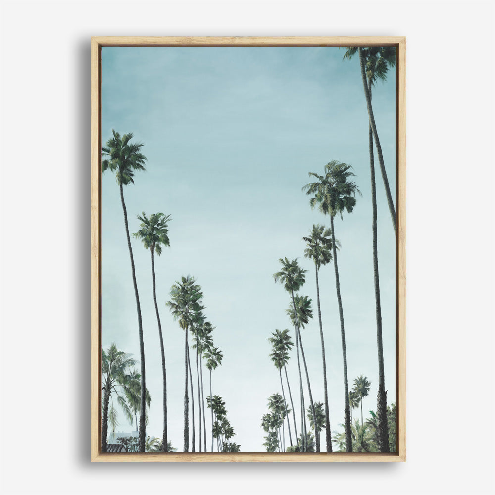 Shop California Palms Canvas Print a coastal themed painted framed canvas wall art print from The Print Emporium artwork collection - Buy Australian made fine art painting style stretched canvas prints for the home and your interior decor space, TPE-044-CA-35X46-NF