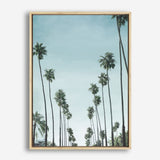 Shop California Palms Canvas Print a coastal themed painted framed canvas wall art print from The Print Emporium artwork collection - Buy Australian made fine art painting style stretched canvas prints for the home and your interior decor space, TPE-044-CA-35X46-NF
