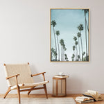 Shop California Palms Canvas Print a coastal themed painted framed canvas wall art print from The Print Emporium artwork collection - Buy Australian made fine art painting style stretched canvas prints for the home and your interior decor space, TPE-044-CA-35X46-NF
