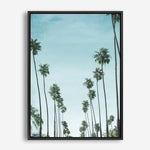 Shop California Palms Canvas Print a coastal themed painted framed canvas wall art print from The Print Emporium artwork collection - Buy Australian made fine art painting style stretched canvas prints for the home and your interior decor space, TPE-044-CA-35X46-NF