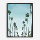 Shop California Palms Canvas Print a coastal themed painted framed canvas wall art print from The Print Emporium artwork collection - Buy Australian made fine art painting style stretched canvas prints for the home and your interior decor space, TPE-044-CA-35X46-NF