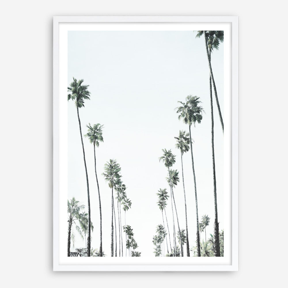 Shop California Palms II Art Print a coastal themed painted wall art print from The Print Emporium wall artwork collection - Buy Australian made fine art painting style poster and framed prints for the home and your interior decor room, TPE-482-AP