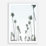 Shop California Palms II Art Print a coastal themed painted wall art print from The Print Emporium wall artwork collection - Buy Australian made fine art painting style poster and framed prints for the home and your interior decor room, TPE-482-AP