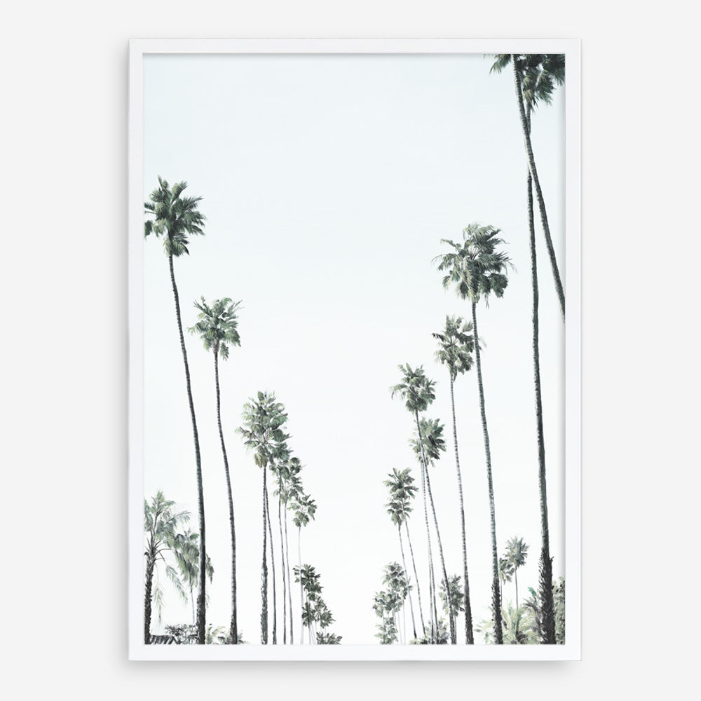 Shop California Palms II Art Print a coastal themed painted wall art print from The Print Emporium wall artwork collection - Buy Australian made fine art painting style poster and framed prints for the home and your interior decor room, TPE-482-AP
