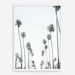 Shop California Palms II Art Print a coastal themed painted wall art print from The Print Emporium wall artwork collection - Buy Australian made fine art painting style poster and framed prints for the home and your interior decor room, TPE-482-AP