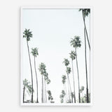 Shop California Palms II Art Print a coastal themed painted wall art print from The Print Emporium wall artwork collection - Buy Australian made fine art painting style poster and framed prints for the home and your interior decor room, TPE-482-AP