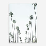 Shop California Palms II Art Print a coastal themed painted wall art print from The Print Emporium wall artwork collection - Buy Australian made fine art painting style poster and framed prints for the home and your interior decor room, TPE-482-AP