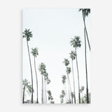 Shop California Palms II Art Print a coastal themed painted wall art print from The Print Emporium wall artwork collection - Buy Australian made fine art painting style poster and framed prints for the home and your interior decor room, TPE-482-AP