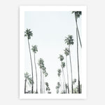 Shop California Palms II Art Print a coastal themed painted wall art print from The Print Emporium wall artwork collection - Buy Australian made fine art painting style poster and framed prints for the home and your interior decor room, TPE-482-AP