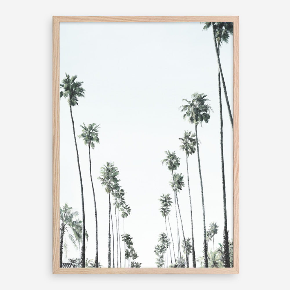 Shop California Palms II Art Print a coastal themed painted wall art print from The Print Emporium wall artwork collection - Buy Australian made fine art painting style poster and framed prints for the home and your interior decor room, TPE-482-AP