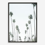 Shop California Palms II Art Print a coastal themed painted wall art print from The Print Emporium wall artwork collection - Buy Australian made fine art painting style poster and framed prints for the home and your interior decor room, TPE-482-AP