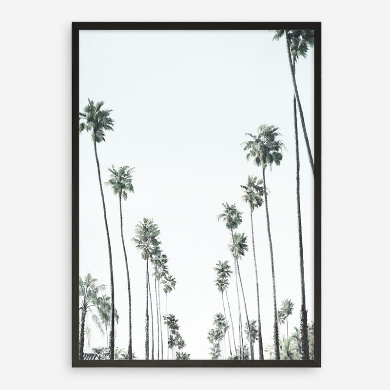 Shop California Palms II Art Print a coastal themed painted wall art print from The Print Emporium wall artwork collection - Buy Australian made fine art painting style poster and framed prints for the home and your interior decor room, TPE-482-AP