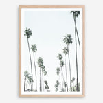 Shop California Palms II Art Print a coastal themed painted wall art print from The Print Emporium wall artwork collection - Buy Australian made fine art painting style poster and framed prints for the home and your interior decor room, TPE-482-AP