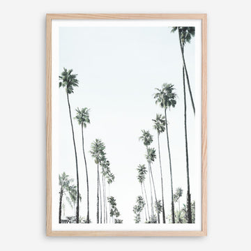 Shop California Palms II Art Print a coastal themed painted wall art print from The Print Emporium wall artwork collection - Buy Australian made fine art painting style poster and framed prints for the home and your interior decor room, TPE-482-AP